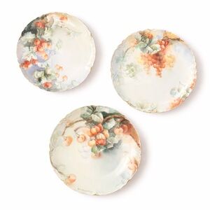 Haviland France Limoges Porcelain Decor Plates - Early 1900s